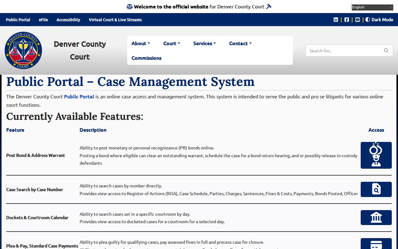 Denver County Court public access page showing case record limits